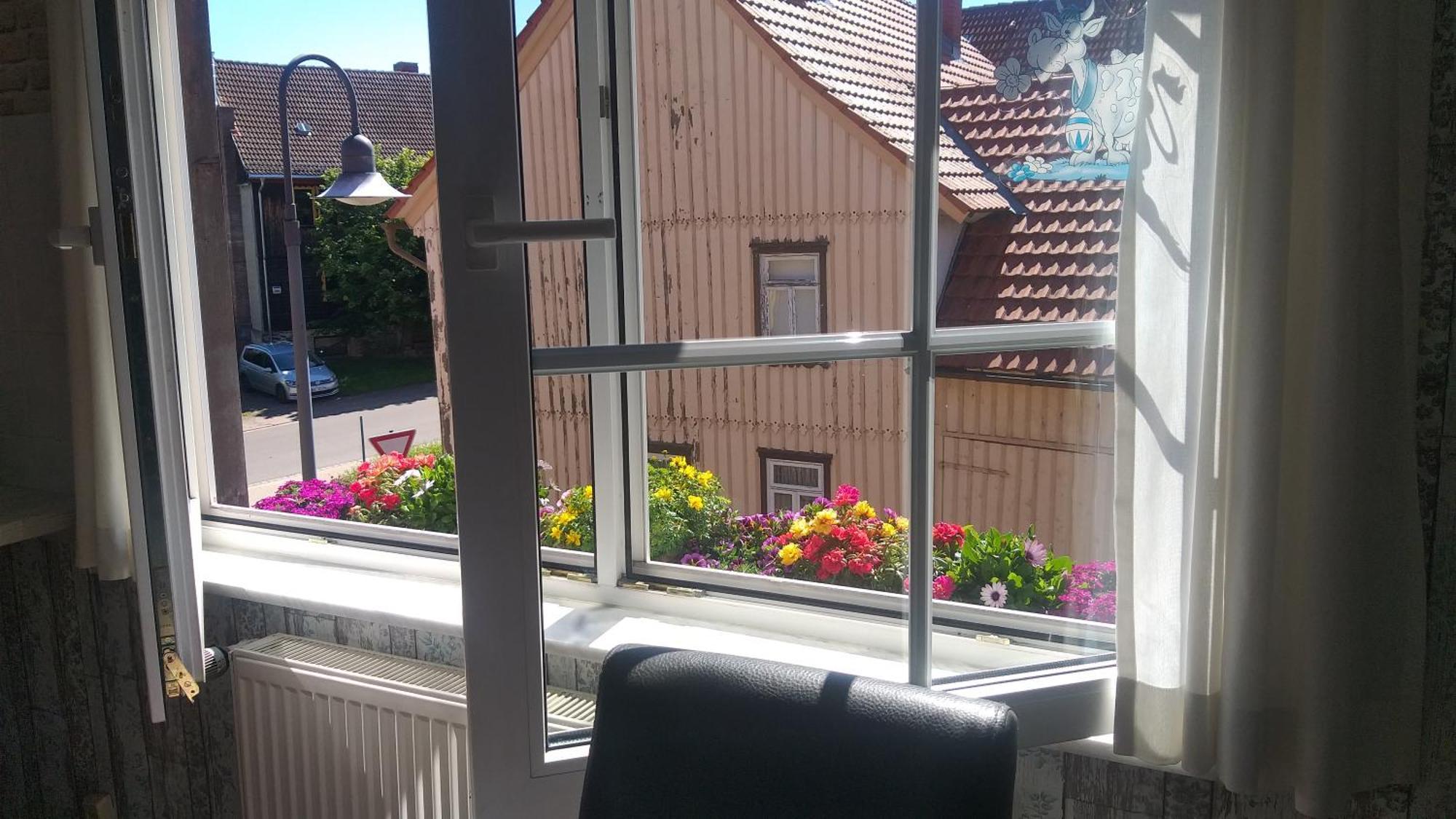 Harzer Bauernhof Daire Thale Oda fotoğraf